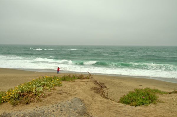 Pt. Reyes Beach