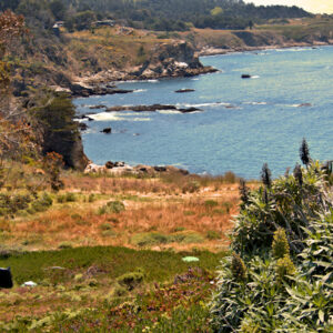 Timber Cove Coast