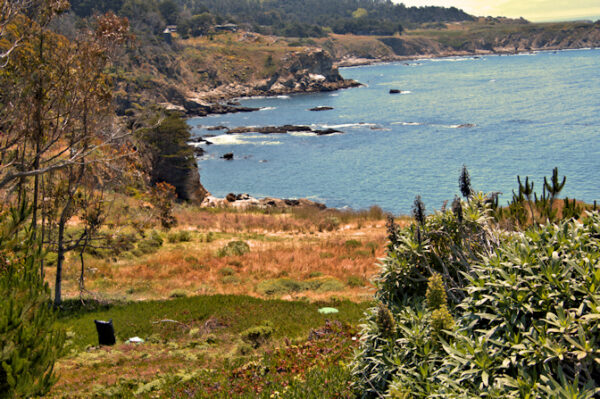 Timber Cove Coast