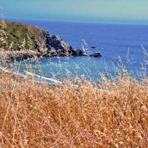Timber Cove 3