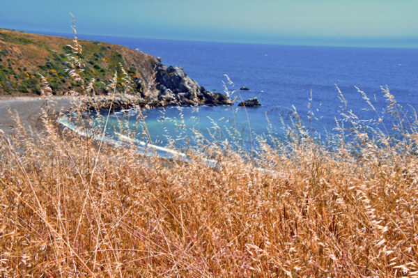 Timber Cove 3