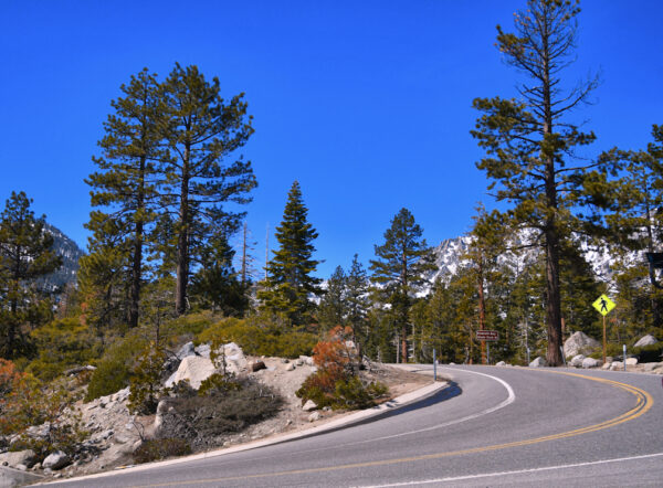 Emerald Bay Curve